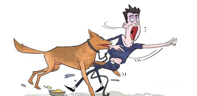 狗咬傷人狗主人要承擔什么責任?
