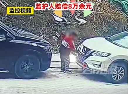 9歲男孩塞鞭炮燒車家長被判賠8萬
